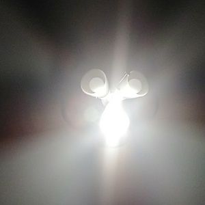 Meet your Posher, Krysta